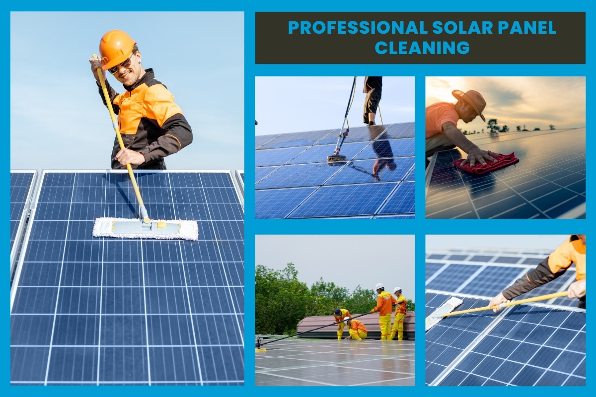 Professional Solar Panel Cleaning Professional Solar Panel Cleaning img