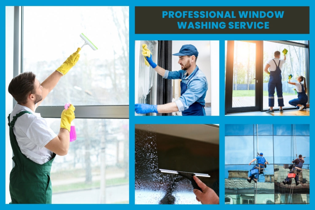 Professional Window Washing Service