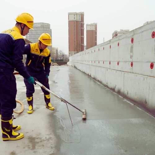 Professional soft wash roof cleaning service